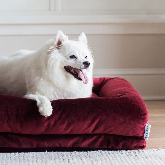 Rosie Lounger, Merlot - Image 3